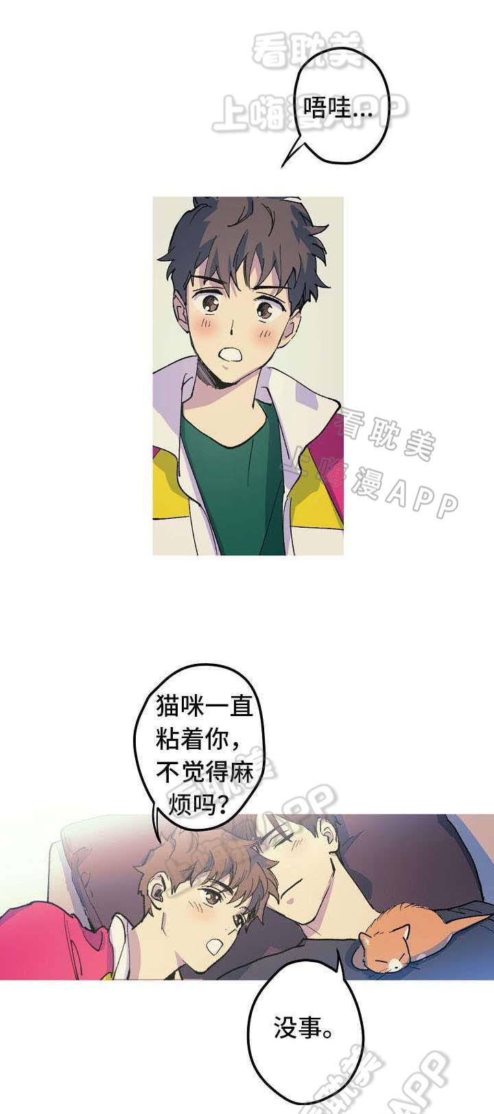 极度恐慌漫画韩漫全集-第19话无删减无遮挡章节图片 