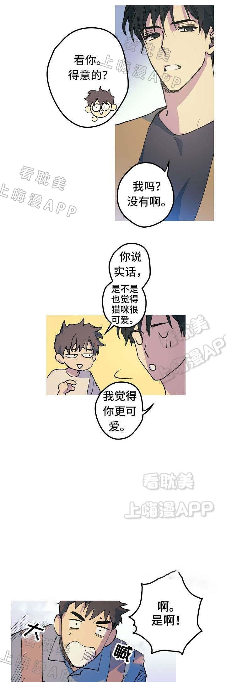 极度恐慌漫画韩漫全集-第19话无删减无遮挡章节图片 
