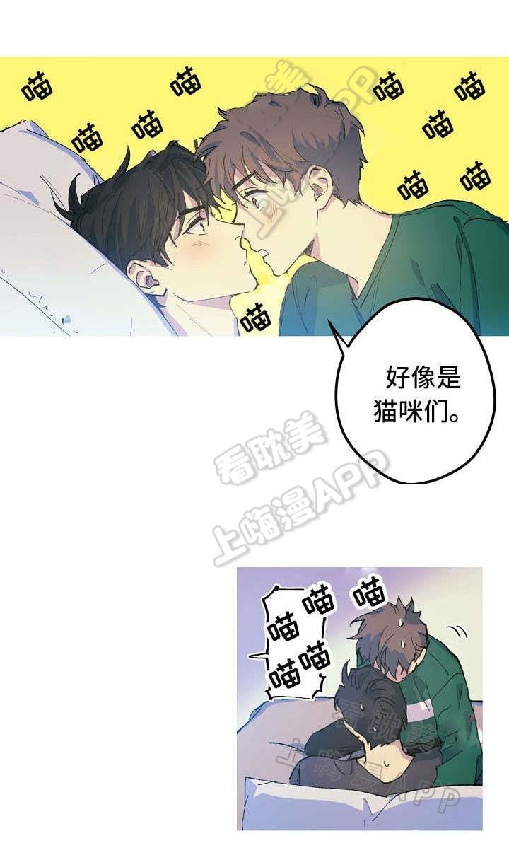 极度恐慌漫画韩漫全集-第19话无删减无遮挡章节图片 