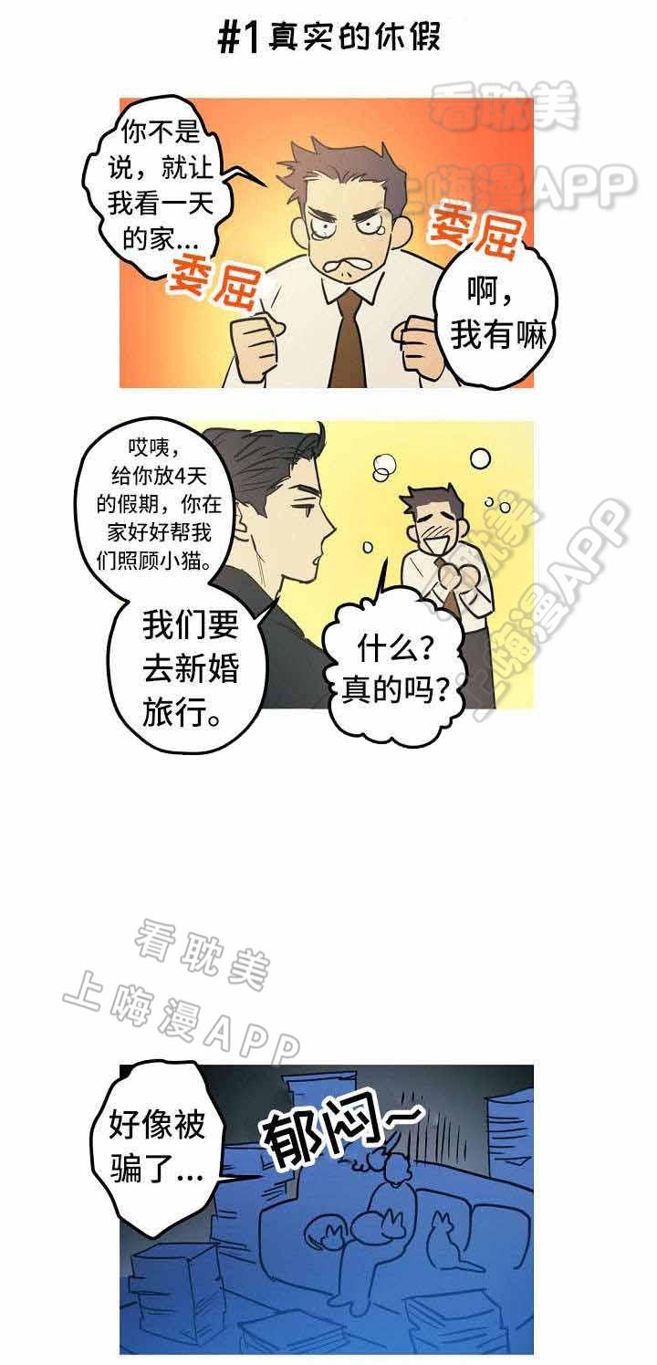 极度恐慌漫画韩漫全集-第27话无删减无遮挡章节图片 