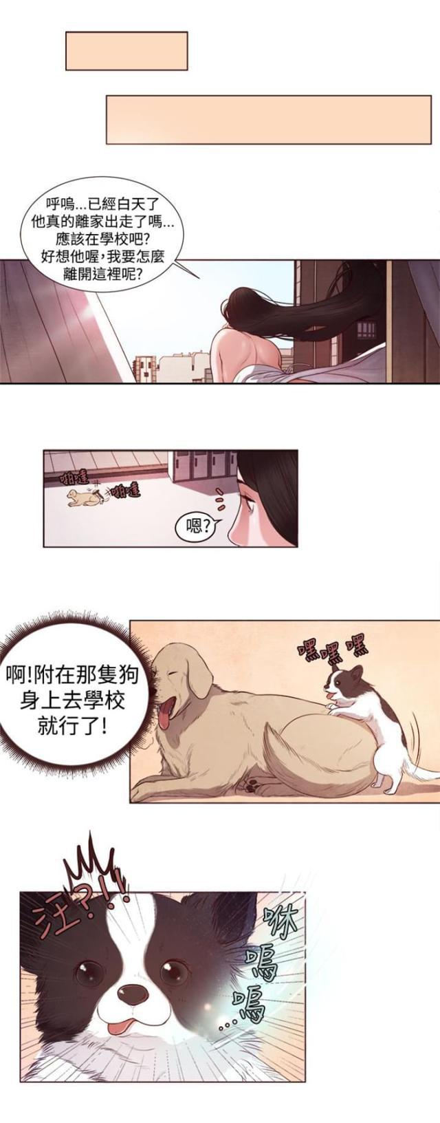 纯情漫画韩漫全集-第4话 胆大包天无删减无遮挡章节图片 