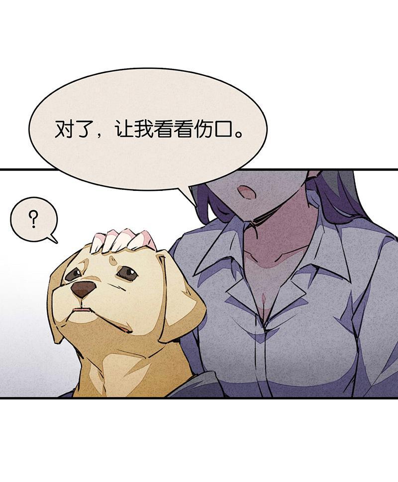 日本漫画之天翼鸟漫画大全韩漫全集-爱犬 第一话无删减无遮挡章节图片 