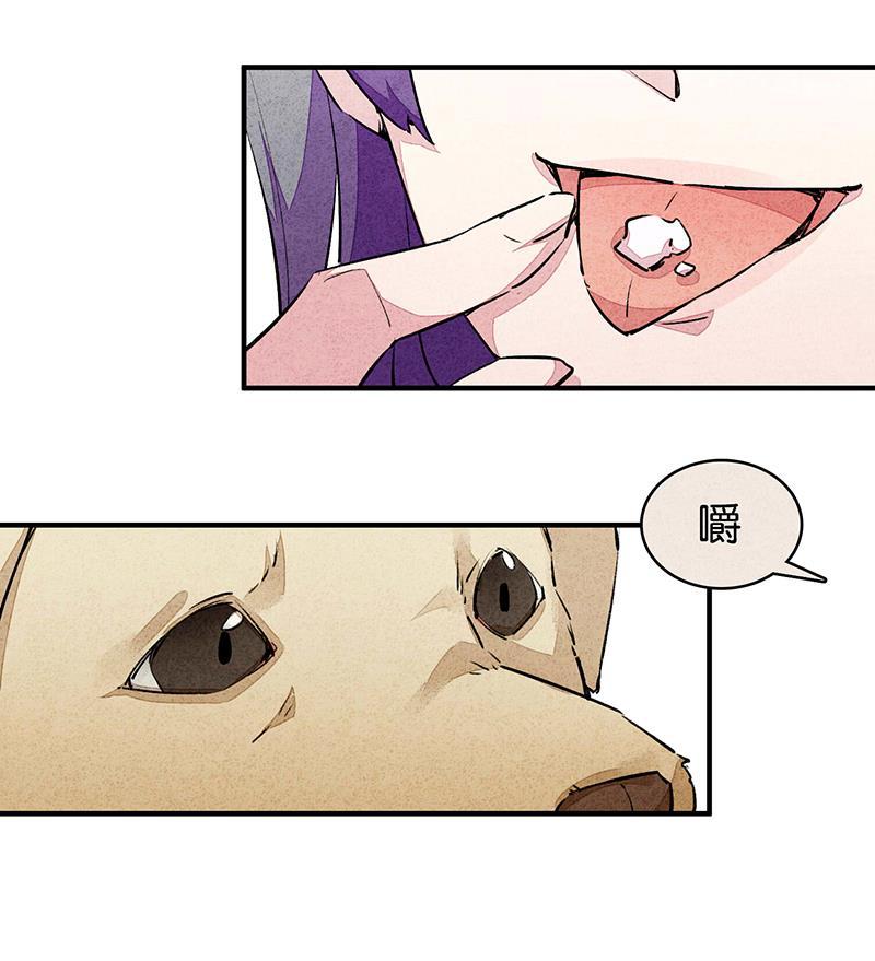 日本漫画之天翼鸟漫画大全韩漫全集-爱犬 第一话无删减无遮挡章节图片 