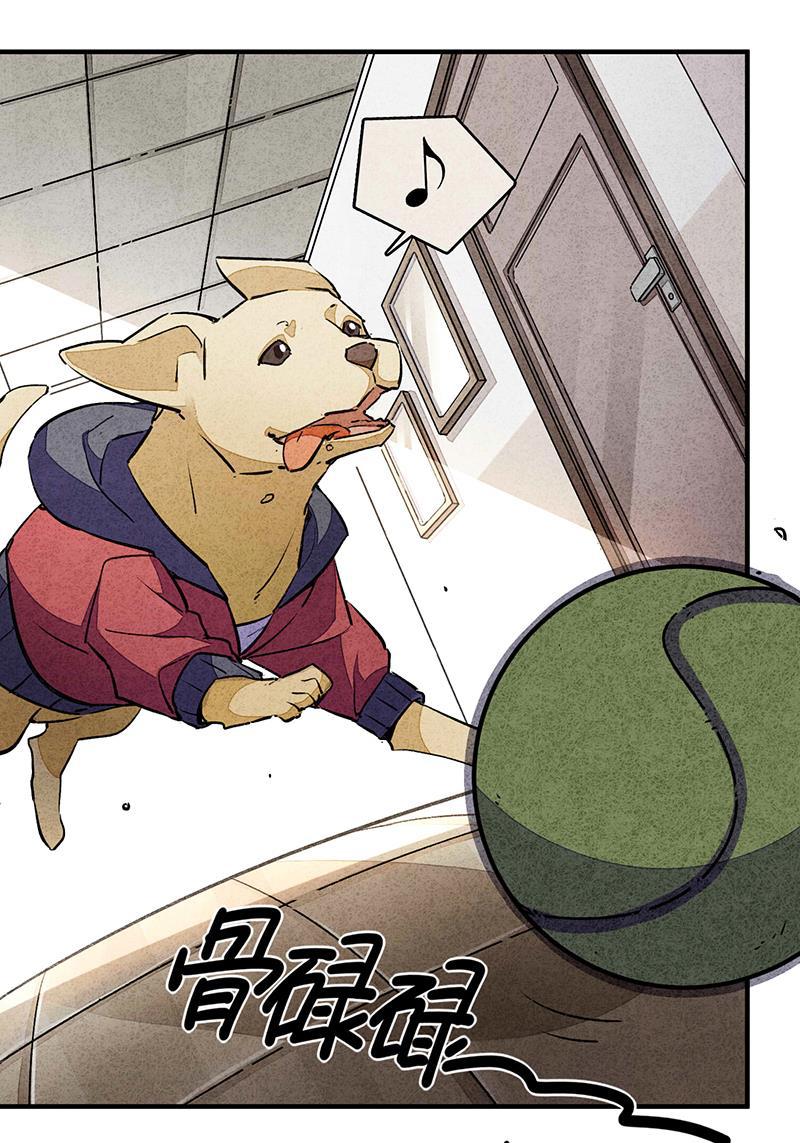 日本漫画之天翼鸟漫画大全韩漫全集-爱犬 第一话无删减无遮挡章节图片 