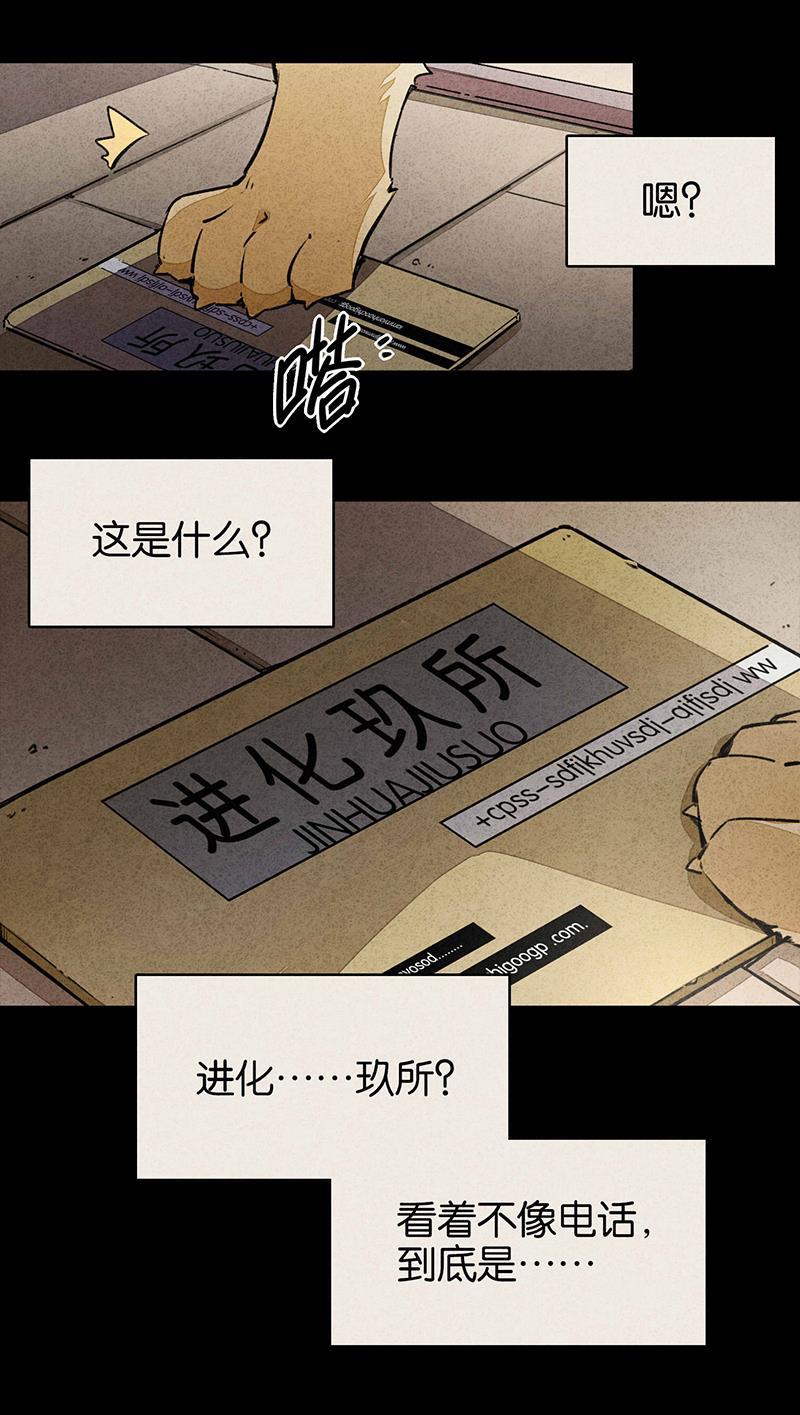 日本漫画之天翼鸟漫画大全韩漫全集-爱犬 第一话无删减无遮挡章节图片 