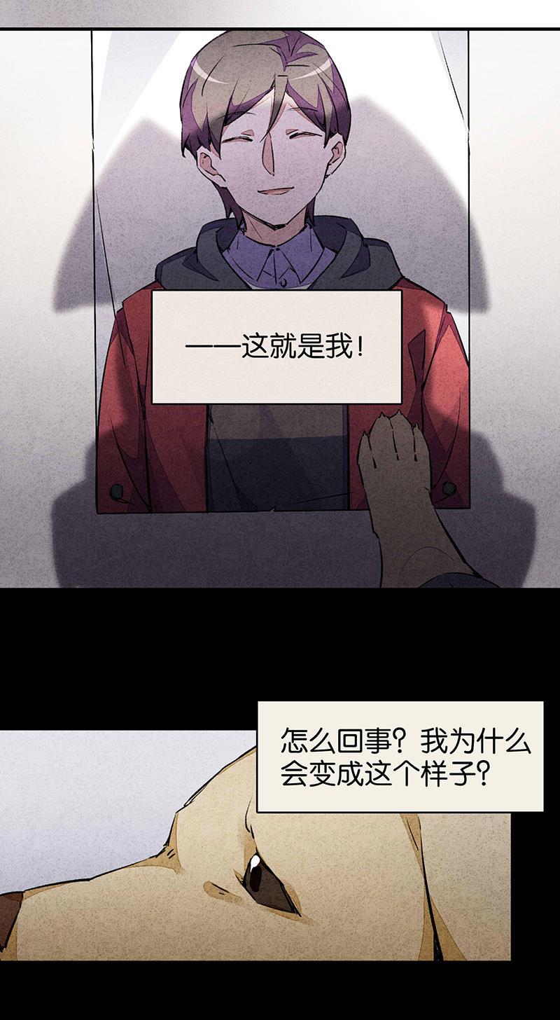 日本漫画之天翼鸟漫画大全韩漫全集-爱犬 第一话无删减无遮挡章节图片 