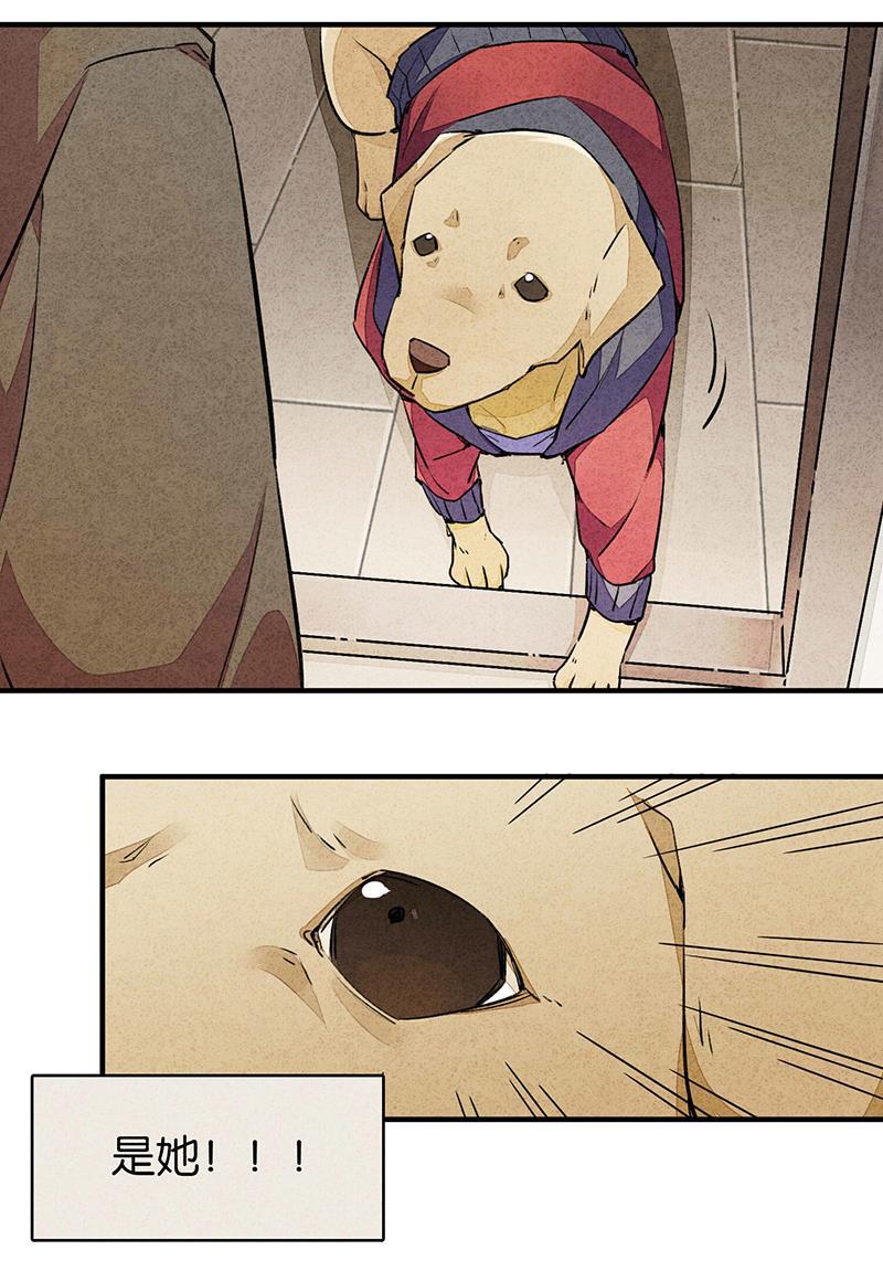 日本漫画之天翼鸟漫画大全韩漫全集-爱犬 第二话无删减无遮挡章节图片 
