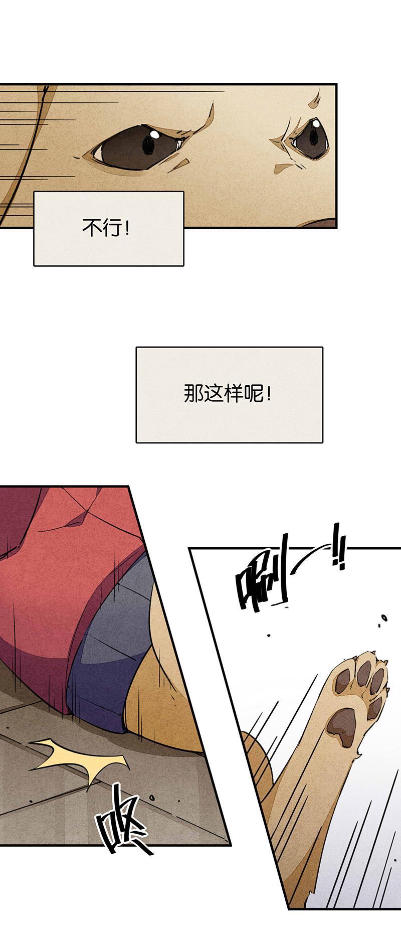 日本漫画之天翼鸟漫画大全韩漫全集-爱犬 第二话无删减无遮挡章节图片 