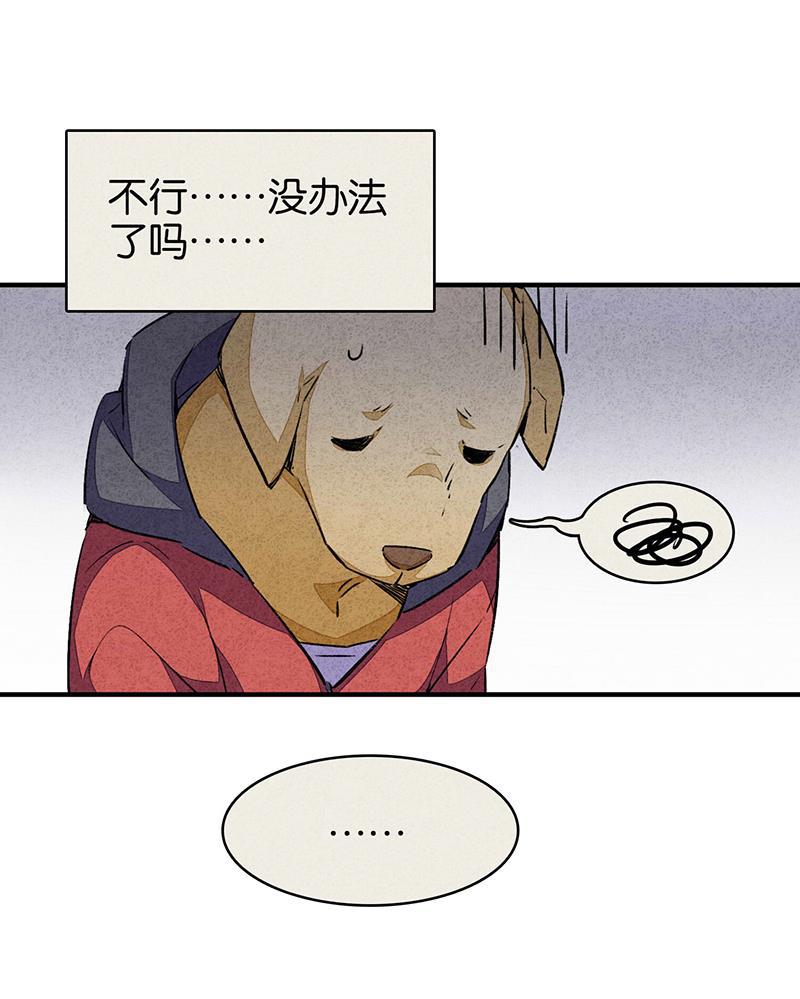 日本漫画之天翼鸟漫画大全韩漫全集-爱犬 第二话无删减无遮挡章节图片 