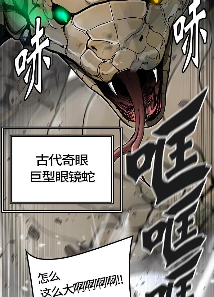 毒液漫画韩漫全集-[第3季] 第39话 - 勿忘我沉睡的城墙无删减无遮挡章节图片 
