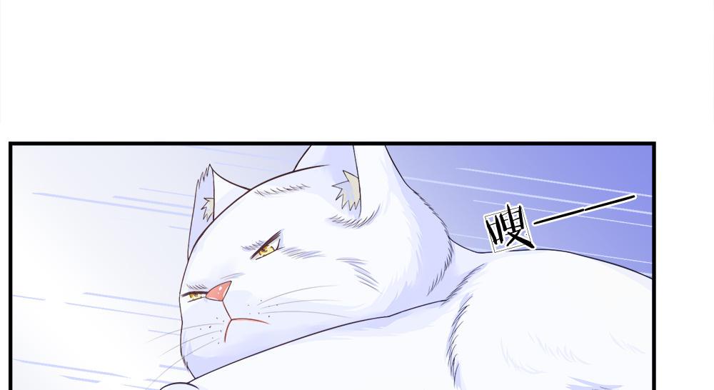 歪歪漫画网首页韩漫全集-13_第13话无删减无遮挡章节图片 