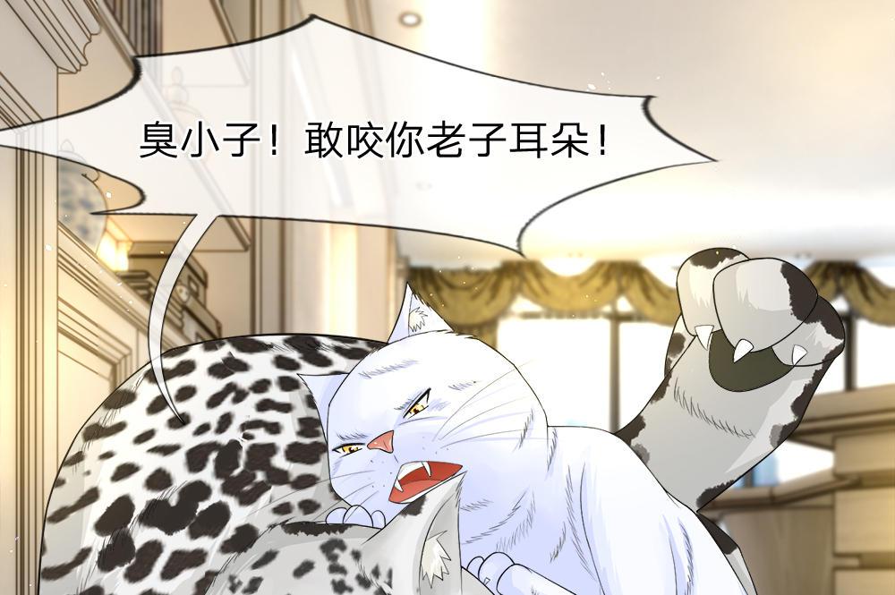 歪歪漫画网首页韩漫全集-13_第13话无删减无遮挡章节图片 