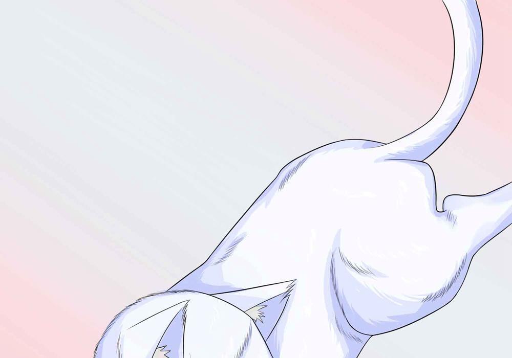 歪歪漫画网首页韩漫全集-16_第16话无删减无遮挡章节图片 