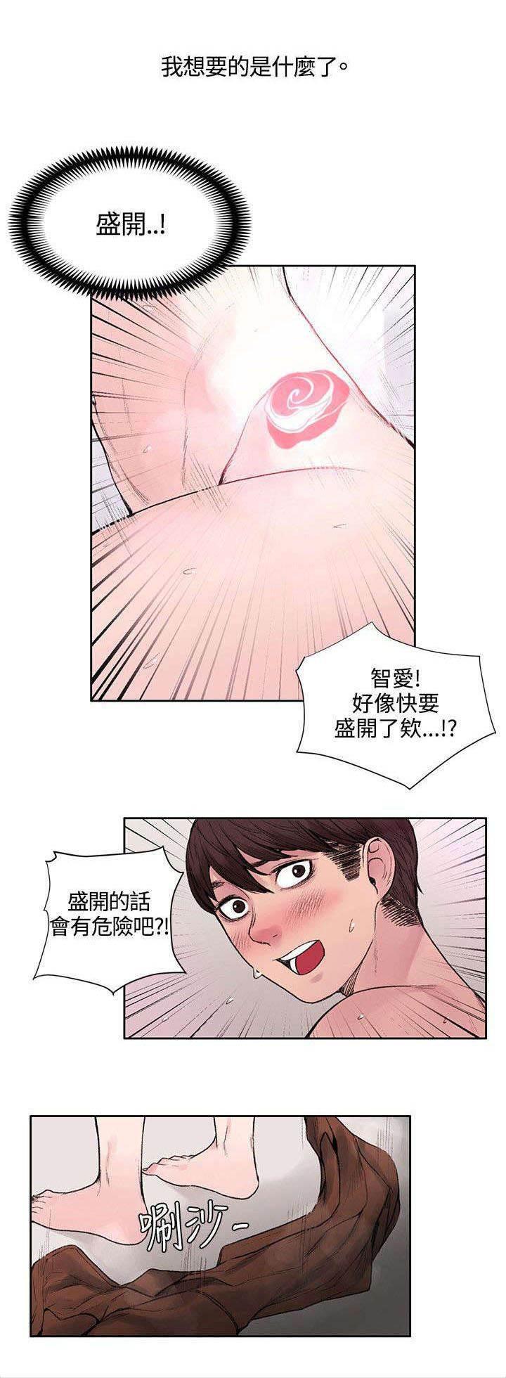 神秘药丸韩漫全集-第33话 快要盛开了无删减无遮挡章节图片 