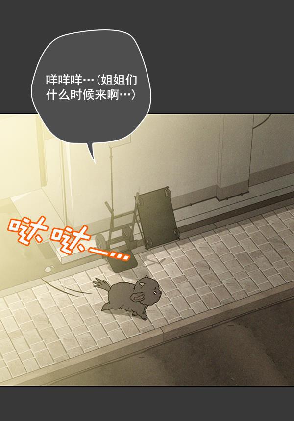种植部神秘日志韩漫全集-[第16话] 可你是露葵（2）无删减无遮挡章节图片 