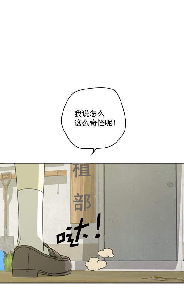 种植部神秘日志韩漫全集-[第15话] 可你是露葵（1）无删减无遮挡章节图片 