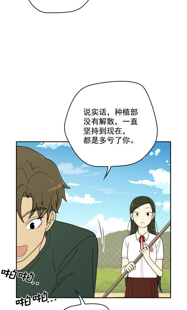 种植部神秘日志韩漫全集-[第13话] 数秋白菜时再说放弃（4）无删减无遮挡章节图片 