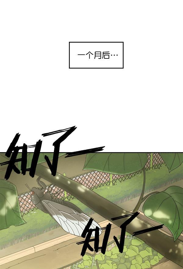种植部神秘日志韩漫全集-[第5话] 老师为什么这么做（3）无删减无遮挡章节图片 