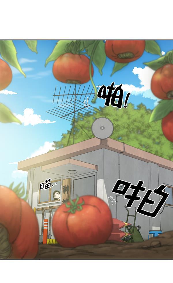 种植部神秘日志韩漫全集-[第6话] 血滴般的番茄落下（1）无删减无遮挡章节图片 