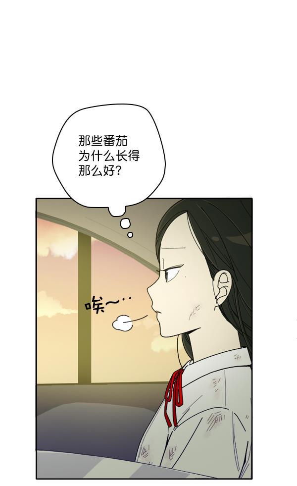 种植部神秘日志韩漫全集-[第6话] 血滴般的番茄落下（1）无删减无遮挡章节图片 