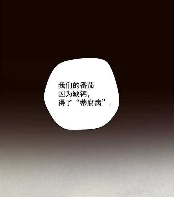 种植部神秘日志韩漫全集-[第6话] 血滴般的番茄落下（1）无删减无遮挡章节图片 