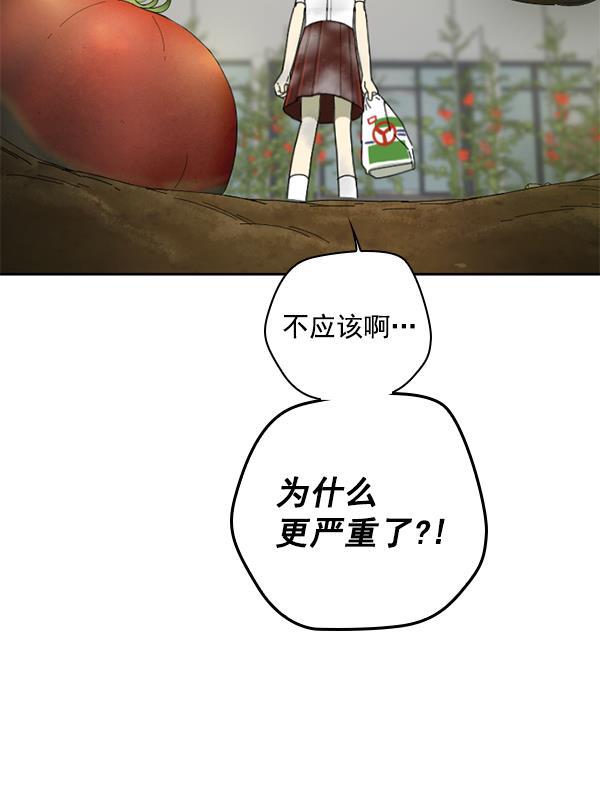种植部神秘日志韩漫全集-[第6话] 血滴般的番茄落下（1）无删减无遮挡章节图片 