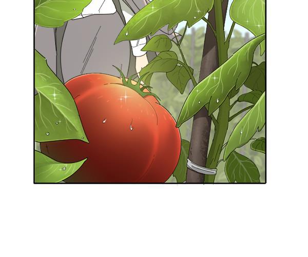 种植部神秘日志韩漫全集-[第6话] 血滴般的番茄落下（1）无删减无遮挡章节图片 