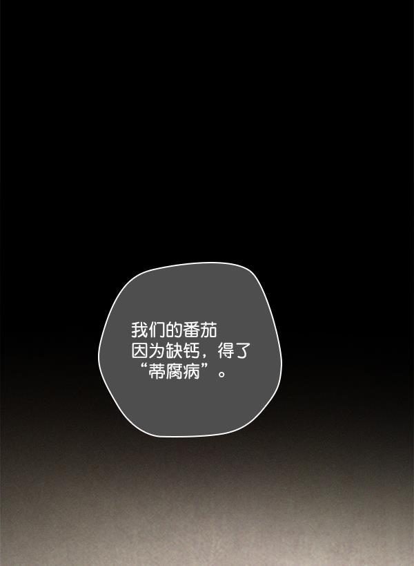 种植部神秘日志韩漫全集-[第6话] 血滴般的番茄落下（1）无删减无遮挡章节图片 