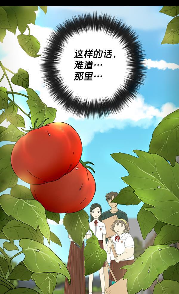 种植部神秘日志韩漫全集-[第6话] 血滴般的番茄落下（1）无删减无遮挡章节图片 