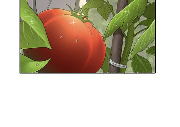 种植部神秘日志韩漫全集-[第7话] 血滴般的番茄落下（2）无删减无遮挡章节图片 