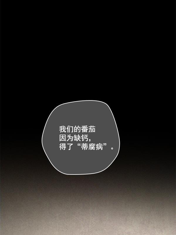 种植部神秘日志韩漫全集-[第7话] 血滴般的番茄落下（2）无删减无遮挡章节图片 