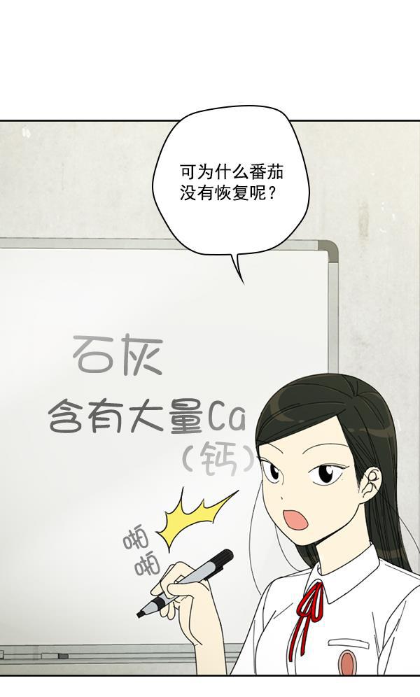 种植部神秘日志韩漫全集-[第7话] 血滴般的番茄落下（2）无删减无遮挡章节图片 
