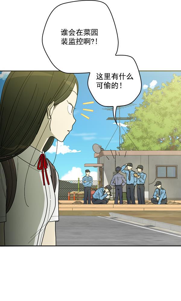 种植部神秘日志韩漫全集-[第8话] 血滴般的番茄落下（3）无删减无遮挡章节图片 