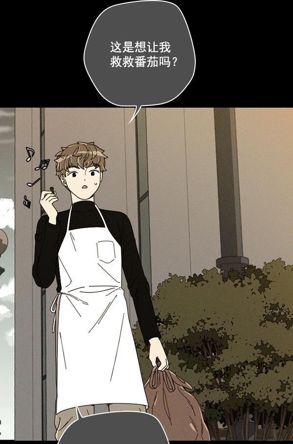 种植部神秘日志韩漫全集-[第9话] 血滴般的番茄落下（4）无删减无遮挡章节图片 
