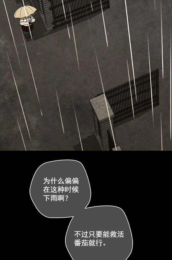 种植部神秘日志韩漫全集-[第9话] 血滴般的番茄落下（4）无删减无遮挡章节图片 