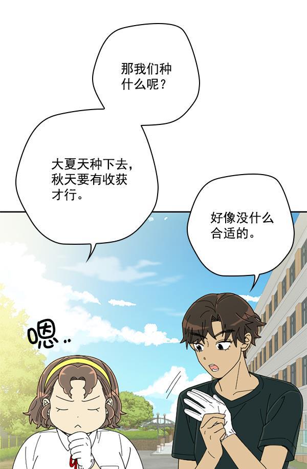 种植部神秘日志韩漫全集-[第10话] 数秋白菜时再说放弃（1）无删减无遮挡章节图片 