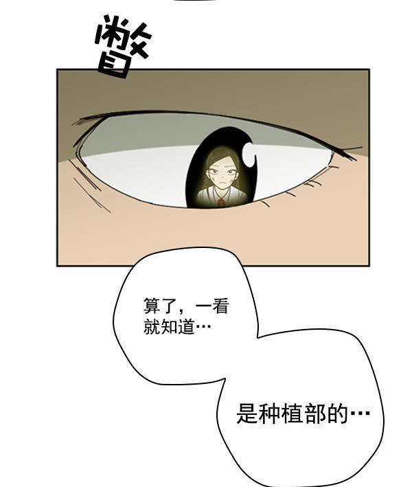 种植部神秘日志韩漫全集-[第10话] 数秋白菜时再说放弃（1）无删减无遮挡章节图片 