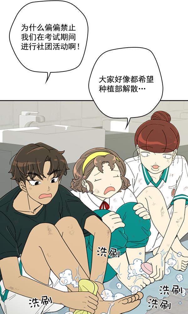 种植部神秘日志韩漫全集-[第10话] 数秋白菜时再说放弃（1）无删减无遮挡章节图片 