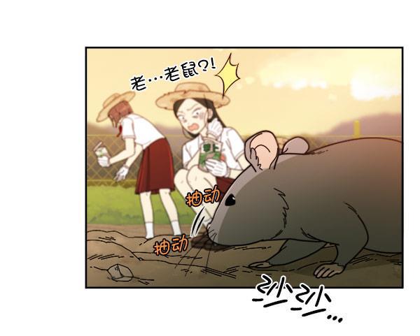 种植部神秘日志韩漫全集-[第18话] 非常非常完美的男人（2）无删减无遮挡章节图片 