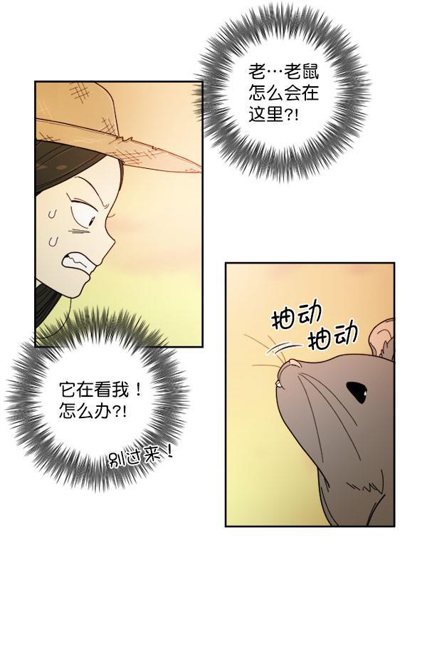 种植部神秘日志韩漫全集-[第18话] 非常非常完美的男人（2）无删减无遮挡章节图片 
