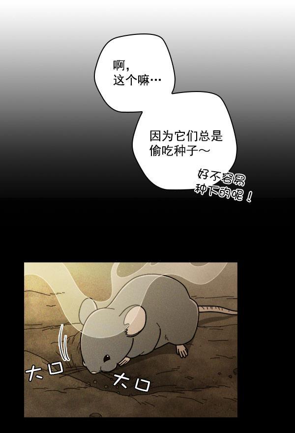种植部神秘日志韩漫全集-[第18话] 非常非常完美的男人（2）无删减无遮挡章节图片 
