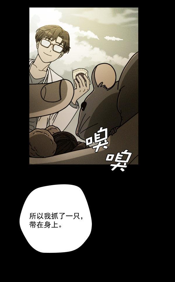 种植部神秘日志韩漫全集-[第18话] 非常非常完美的男人（2）无删减无遮挡章节图片 