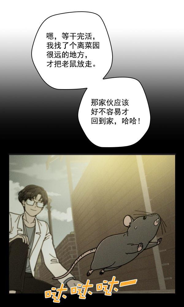 种植部神秘日志韩漫全集-[第18话] 非常非常完美的男人（2）无删减无遮挡章节图片 