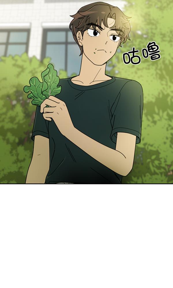 种植部神秘日志韩漫全集-[第22话] 蔫蔫的菠菜 power up（4）无删减无遮挡章节图片 