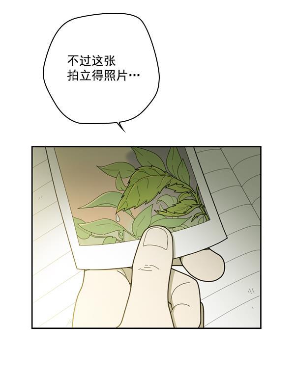 种植部神秘日志韩漫全集-[第24话] 还记得那个时候吗？无删减无遮挡章节图片 