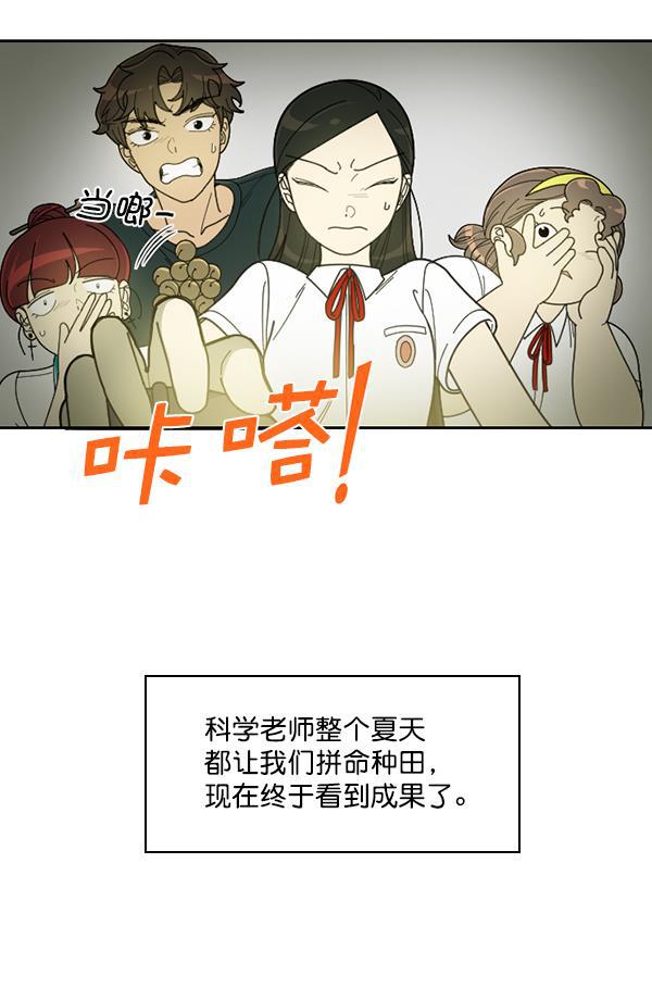 种植部神秘日志韩漫全集-[第29话] 牙齿都掉光的动作片（1）无删减无遮挡章节图片 
