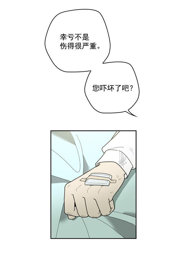 种植部神秘日志韩漫全集-[第31话] 洒满芝麻的浪漫故事（1）无删减无遮挡章节图片 