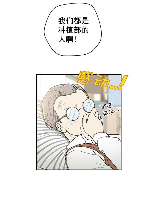 种植部神秘日志韩漫全集-[第31话] 洒满芝麻的浪漫故事（1）无删减无遮挡章节图片 