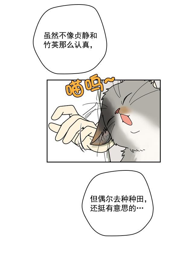 种植部神秘日志韩漫全集-[第33话] 洒满芝麻的浪漫故事（3）无删减无遮挡章节图片 
