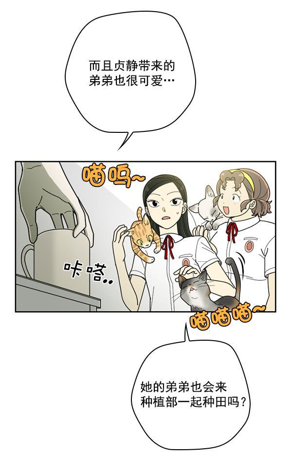 种植部神秘日志韩漫全集-[第33话] 洒满芝麻的浪漫故事（3）无删减无遮挡章节图片 